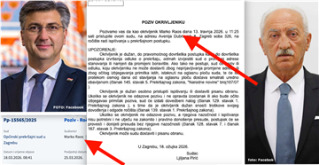 ANDREJ PLENKOVIĆ, MARKO RAOS